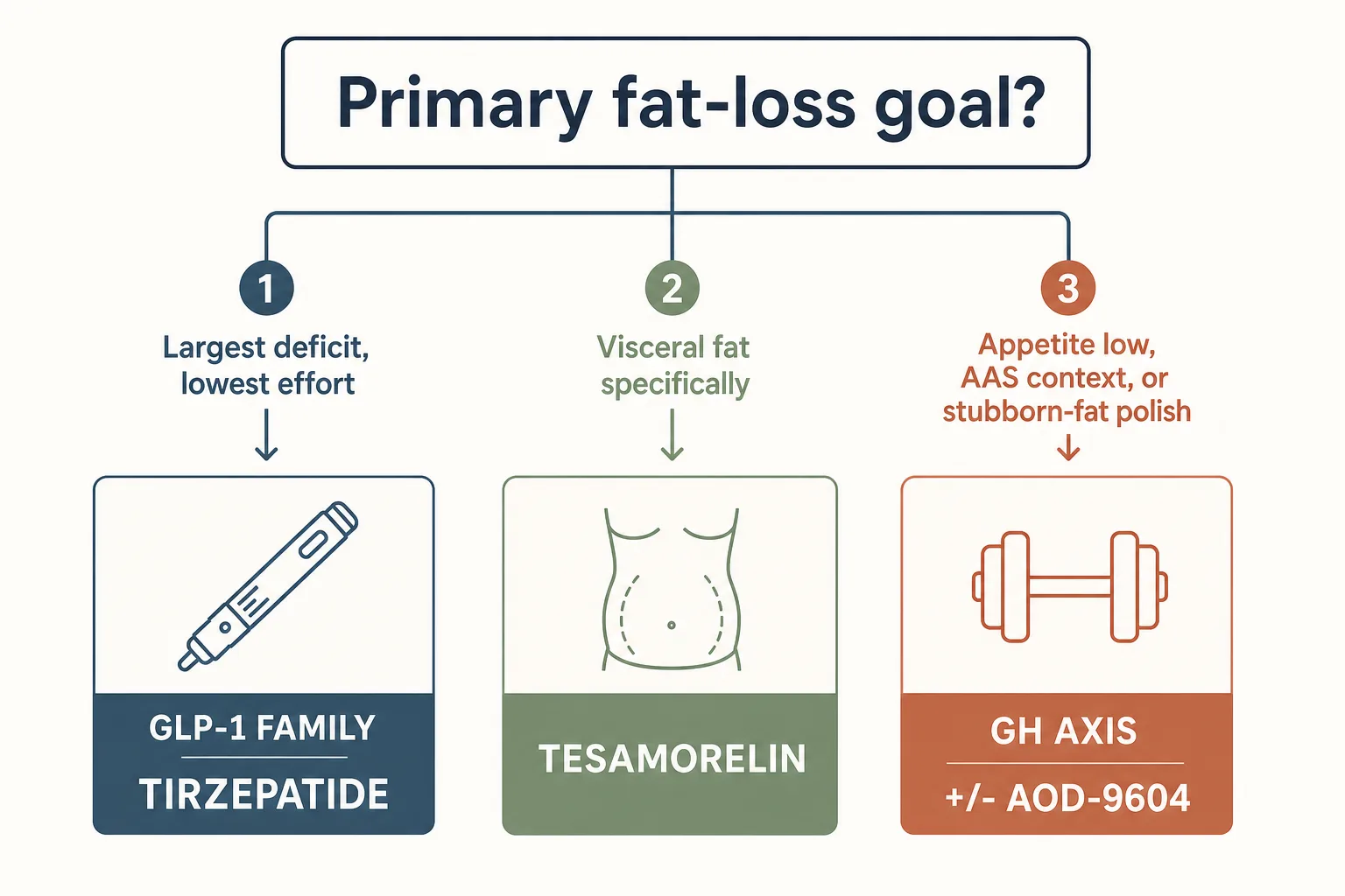 Editorial decision-tree-style flowchart on a clean off-white canvas. Top question: 'Primary fat-loss goal?' branches into three paths. Path 1 ('Largest deficit, lowest effort') leads to a tile labeled 'GLP-1 family (Tirzepatide first)'. Path 2 ('Visceral fat specifically') leads to 'Tesamorelin'. Path 3 ('Appetite low, AAS context, or stubborn-fat polish') leads to 'GH axis +/- AOD-9604'. Each tile has a small icon (pen for GLP-1, abdomen silhouette for Tesamorelin, dumbbell for AAS context). Clean infographic style, restrained palette of slate-blue, sage green, warm rust on off-white, magazine typography, generous white space.