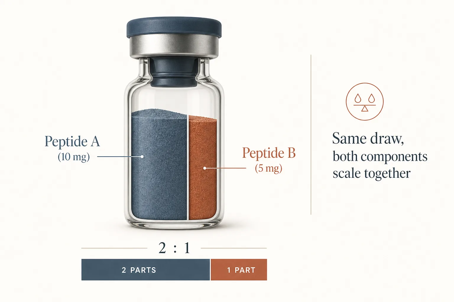 Editorial diagram of a single vial in cross-section showing a 2:1 blend. The vial is split visually with about two-thirds shaded in slate-blue labeled 'Peptide A (10 mg)' and one-third in warm rust labeled 'Peptide B (5 mg)'. Below the vial, a horizontal proportion bar reinforces the 2:1 ratio with the same colors. To the right, a small label reads 'Same draw, both components scale together'. Clean medical-illustration style, restrained palette of slate-blue, warm rust and bone on off-white, sans-serif typography.