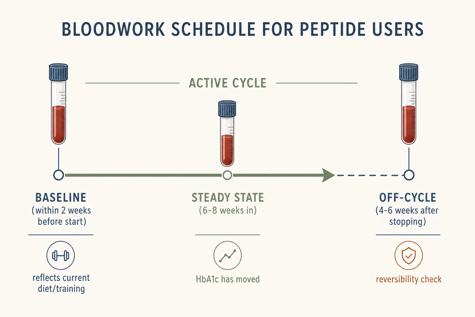 Editorial horizontal timeline showing three labeled draw-points across a cycle. Left to right: a small blood-tube icon labeled 'Baseline (within 2 weeks before start)', then a long horizontal arrow representing the active cycle, then a tube icon at the cycle midpoint labeled 'Steady state (6-8 weeks in)', then arrow continuing past the cycle end, then a final tube icon labeled 'Off-cycle (4-6 weeks after stopping)'. Below the timeline, three short notes correspond to each draw: 'reflects current diet/training', 'HbA1c has moved', 'reversibility check'. Clean editorial-data-viz style, thin axis line, restrained palette of slate-blue, sage and warm rust on off-white, sans-serif typography.