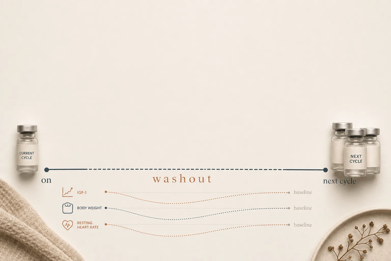 Editorial flat-lay infographic on a soft off-white surface: a horizontal timeline runs from left to right with the word 'on' on the far left transitioning into a long blank stretch labelled 'washout' in the middle, ending with a small cluster of vials on the right labelled 'next cycle'. Three subtle wave-line annotations along the timeline trace IGF-1, body weight, and resting heart rate slowly returning to baseline during the washout stretch. Magazine-grade editorial style, restrained palette of bone, slate-blue, and warm rust, sans-serif typography, generous negative space at the top for a headline.