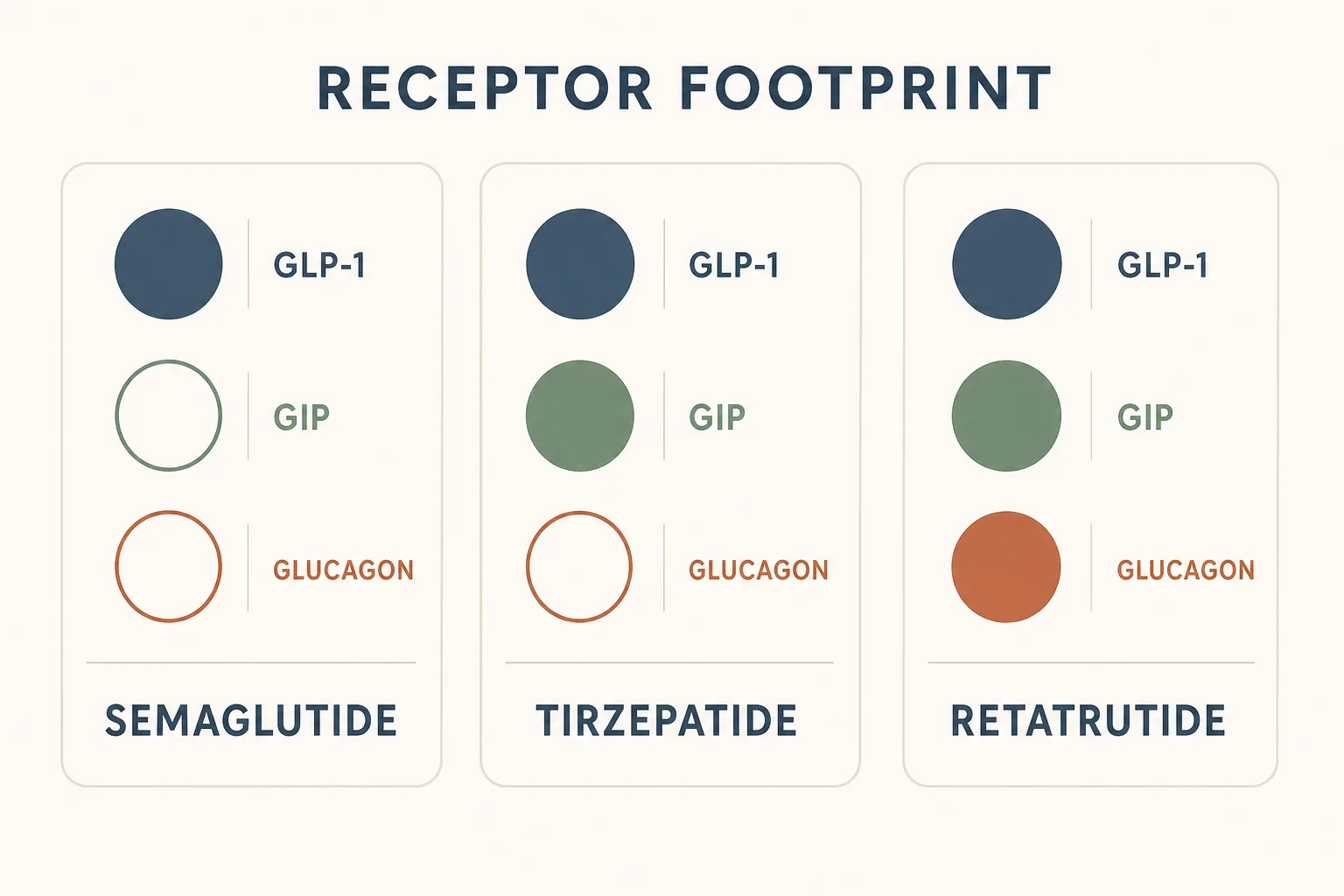 Three-panel infographic showing the receptor footprint of Semaglutide, Tirzepatide and Retatrutide. Panel 1 (Semaglutide): one filled circle labeled GLP-1, two empty circles labeled GIP and Glucagon. Panel 2 (Tirzepatide): two filled circles GLP-1 and GIP, one empty Glucagon. Panel 3 (Retatrutide): all three circles filled. Each compound named below its panel. Clean infographic style, palette of slate, sage and warm rust on off-white, sans-serif typography, no shading.