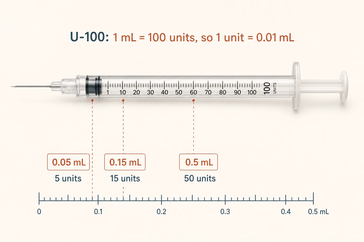 Editorial illustration of a U-100 insulin syringe shown horizontally with a clean ruler-style scale beneath it. The scale is annotated at three positions: 0.05 mL labeled '5 units', 0.15 mL labeled '15 units', and 0.5 mL labeled '50 units'. A small dashed line connects each volume label to the corresponding marking on the syringe barrel. Above the syringe, a single equation 'U-100: 1 mL = 100 units, so 1 unit = 0.01 mL' in clean type. Clean medical-illustration style, restrained palette of slate-blue and warm rust on off-white, sans-serif typography, no shading.