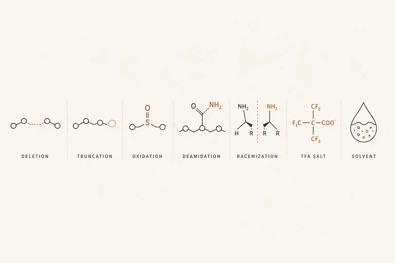 Editorial diagram showing a horizontal row of seven small icons representing peptide impurities: a missing-link chain for 'deletion', a truncated chain for 'truncation', a sulfur atom with an oxygen for 'oxidation', a bent side-chain for 'deamidation', a left-right mirror image for 'racemization', a TFA salt cluster, and a wavy solvent droplet. Each icon labelled below in small caps. Restrained palette of charcoal and warm rust on bone, magazine-grade infographic style, no faces or photorealism.